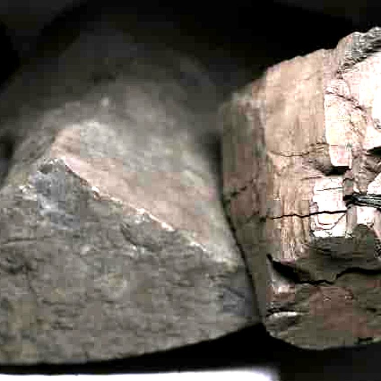 Coal specimen from a Dominion Integrated Services licence area